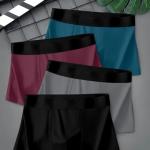 Greenhood Men's Regular Fit Underwear Comfortable Nylon Trunk Multicolour Soft and Breathable