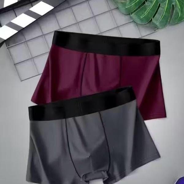 Greenhood Men's Regular Fit Underwear Comfortable Nylon Trunk Multicolour Soft and Breathable