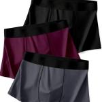 Greenhood Men's Regular Fit Underwear Comfortable Nylon Trunk Multicolour Soft and Breathable